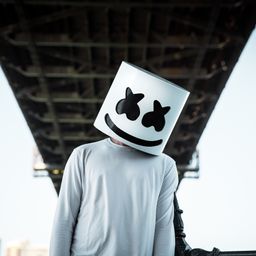 Sir Mike avatar