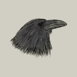 s0nikkukun avatar