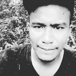 sfz avatar