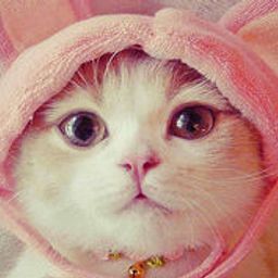 sakurasui avatar