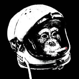 salty1965 avatar
