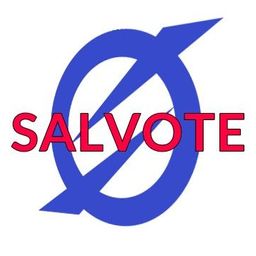 "SALVOTE" avatar