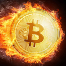 sameerbtc avatar