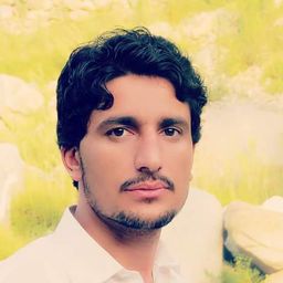 Sadam Anjum avatar