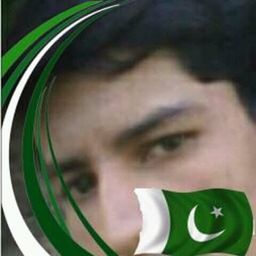 Saqib avatar