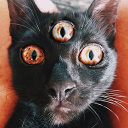 Bizarre art avatar