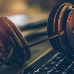 Sara Camacaro avatar