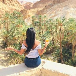 safa abidi avatar