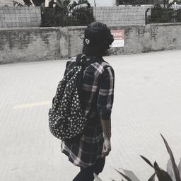 sarashew avatar