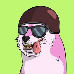 sarguy43 avatar