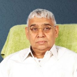 satlokashram avatar