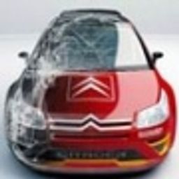 schy avatar