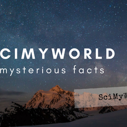 scimyworld avatar
