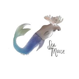 Seamoose avatar