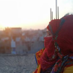 Sema Rekha avatar