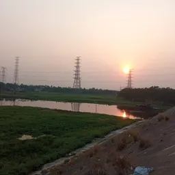 Seno