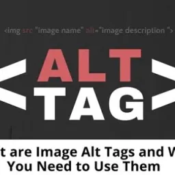 Seo Brutal avatar