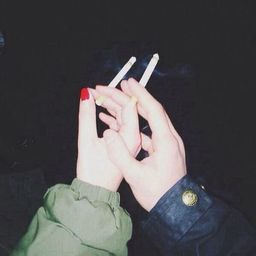 Sessiz Ceren