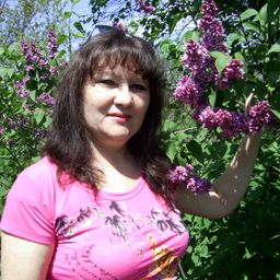 Света avatar