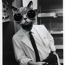 SFKLS avatar