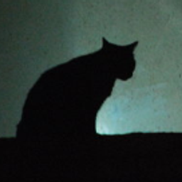 shadowlurker avatar