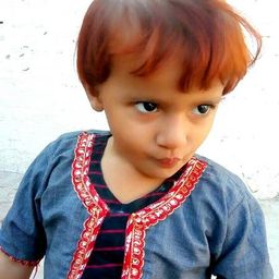 Shahid Hakeem avatar