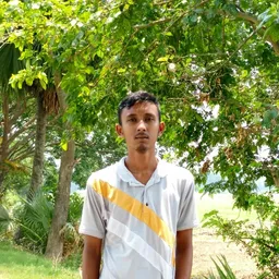 shaikbd avatar