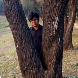 sharifulislam avatar