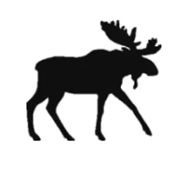 shasta avatar