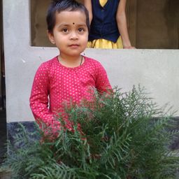 Shemi avatar