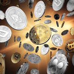 shencoin avatar