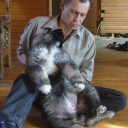 siberianshamen avatar