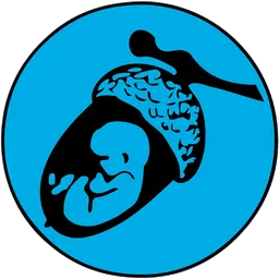 Small Acorn avatar