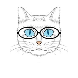 smartcat avatar