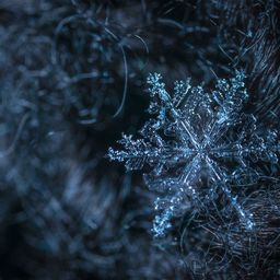 snow.mass avatar