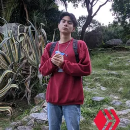 Snty avatar