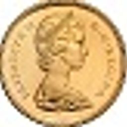 solidgold avatar