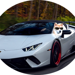 Lambo Soon! avatar