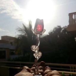 Sophia Abid avatar