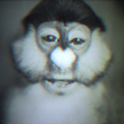 SorK avatar