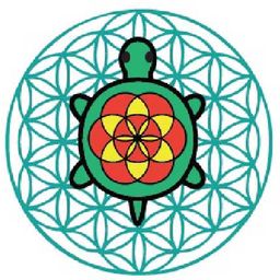 Soul Turtle avatar