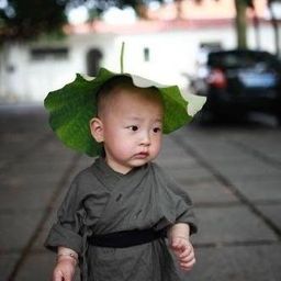 Soysungvone avatar