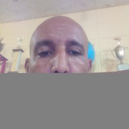 La telematica  avatar