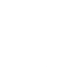 Special Weapons