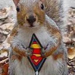 Squirrel Bait avatar