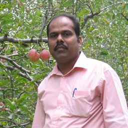 Srinivasan avatar