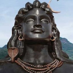SR Kattel avatar