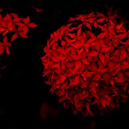 sst avatar