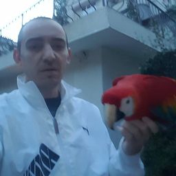 stee avatar