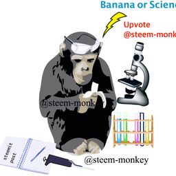 steem-monkey avatar